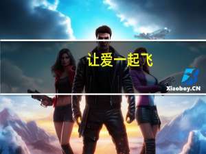 让爱一起飞（关于让爱一起飞的介绍）
