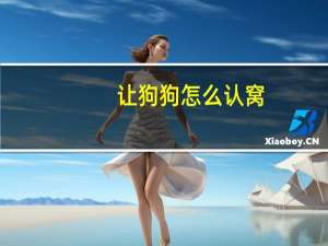 让狗狗怎么认窝