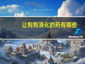 让狗狗消化的药有哪些