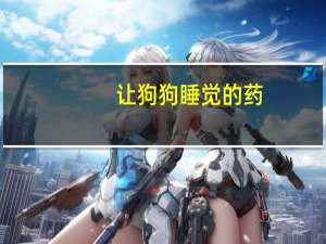 让狗狗睡觉的药