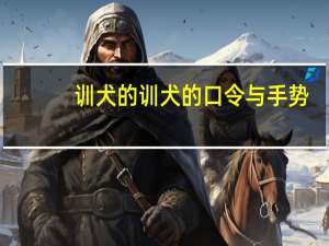 训犬的训犬的口令与手势