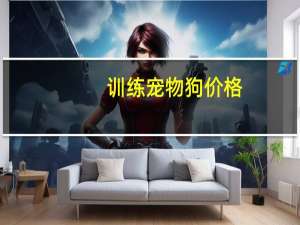 训练宠物狗价格