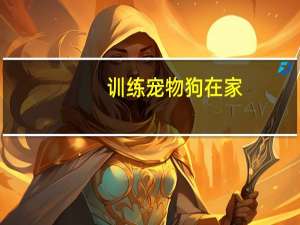 训练宠物狗在家