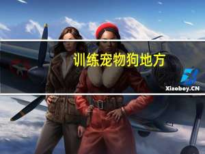 训练宠物狗地方
