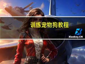 训练宠物狗教程