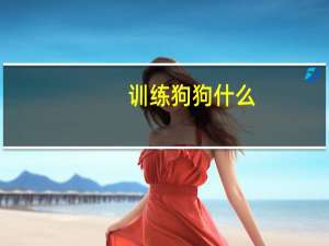 训练狗狗什么