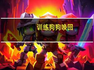 训练狗狗唤回