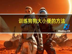 训练狗狗大小便的方法