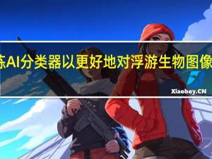训练AI分类器以更好地对浮游生物图像进行排序
