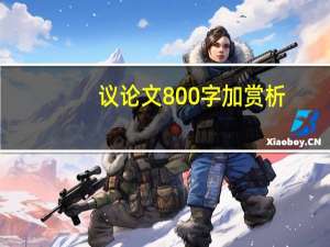议论文800字加赏析
