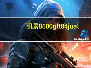 讯景8600gtt84jual（讯景8600gt）