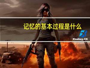 记忆的基本过程是什么