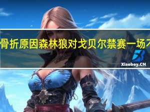 记者讲述麦克丹尼尔斯骨折原因 森林狼对戈贝尔禁赛一场不会随队前往洛杉矶打附加赛