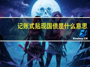 记账式贴现国债是什么意思