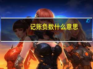 记账负数什么意思
