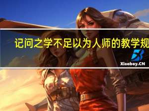 记问之学不足以为人师的教学规律