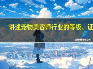 讲述宠物美容师行业的等级、证书，看完你就全明白了
