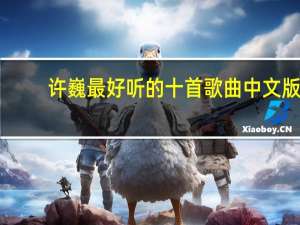 许巍最好听的十首歌曲中文版（许巍最好听的十首歌）