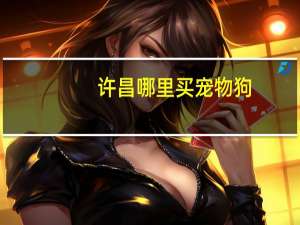 许昌哪里买宠物狗