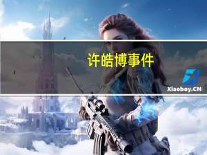 许皓博事件（许皓博）