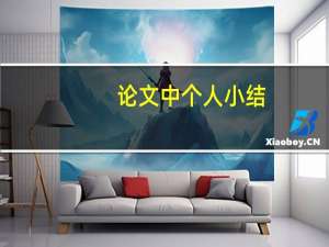 论文中个人小结