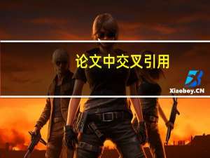 论文中交叉引用