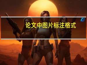 论文中图片标注格式