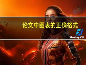 论文中图表的正确格式