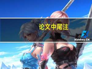 论文中尾注