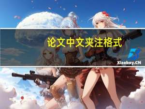 论文中文夹注格式