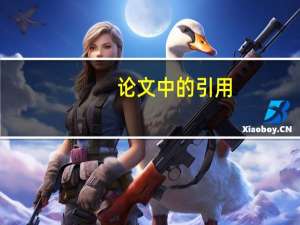 论文中的引用