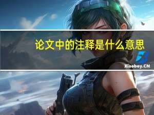 论文中的注释是什么意思