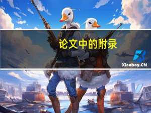 论文中的附录