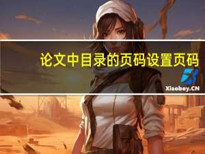 论文中目录的页码设置页码