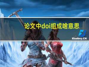 论文中doi组成啥意思