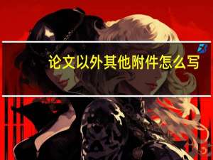 论文以外其他附件怎么写