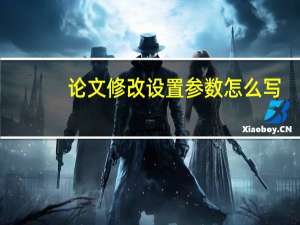 论文修改设置参数怎么写