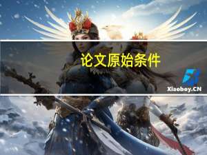 论文原始条件