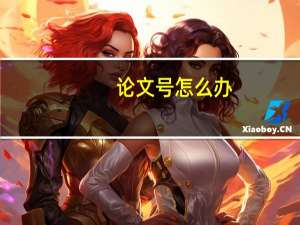 论文号怎么办