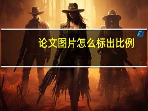 论文图片怎么标出比例