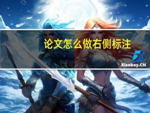 论文怎么做右侧标注
