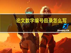 论文数字编号目录怎么写