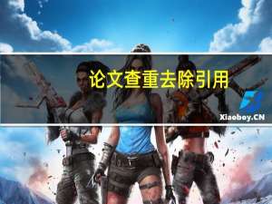 论文查重去除引用