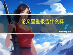论文查重报告什么样