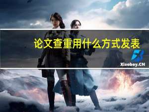 论文查重用什么方式发表