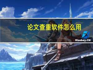 论文查重软件怎么用