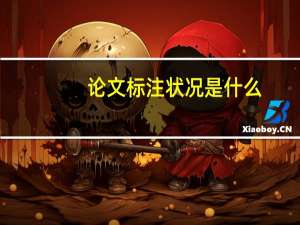 论文标注状况是什么