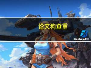 论文狗查重