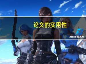 论文的实用性
