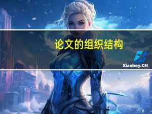 论文的组织结构